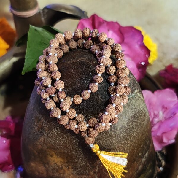 Rudrakhsha Mala Original Certified - Image 3