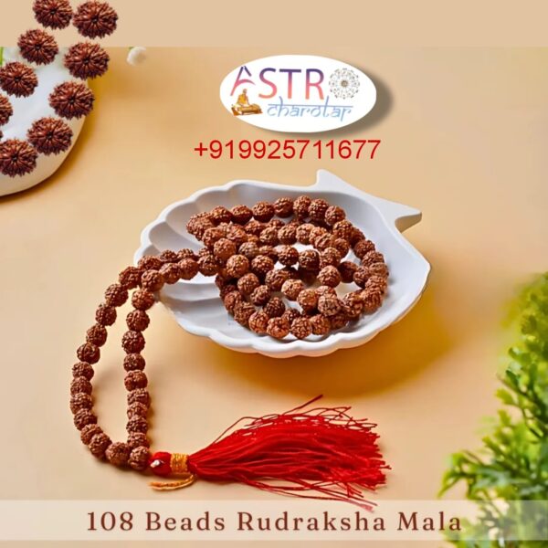 Braune Rudraksha Mala - Image 6