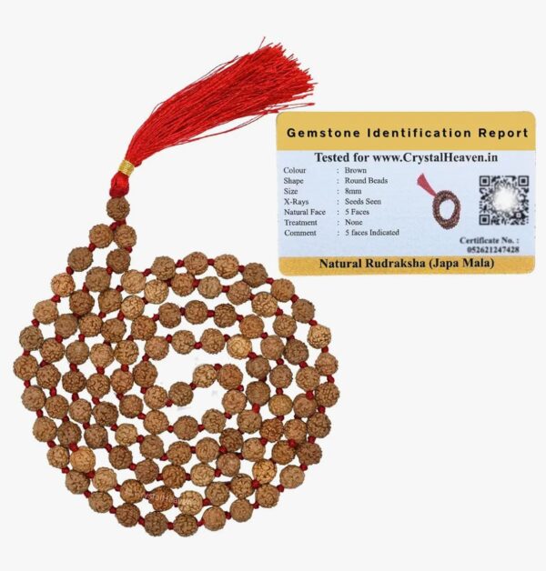 Rudrakhsha Mala Original Certified